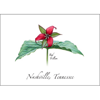 Red Trillium image 0