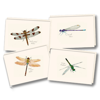 Dragonfly and Damselfly Assortment image 0