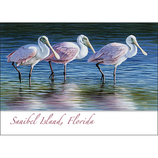 Spoonbills image 0