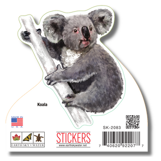 Koala image 1