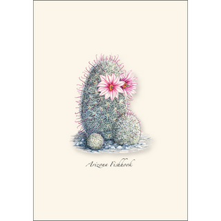 Cacti Assortment I image 1