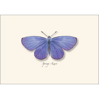 Spring Azure image 1