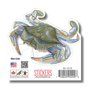 Blue Crab image 1