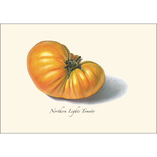 Tomato Assortment image 2