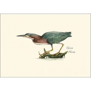 Heron  Assortment image 4