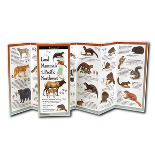 Land Mammals of the Pacific Northwest image 1