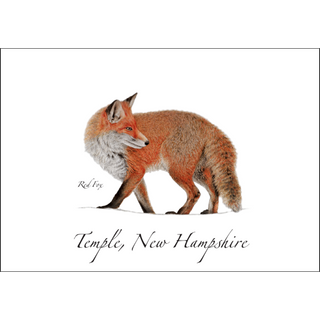 Red Fox image 0