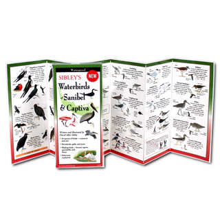 Sibley's Waterbirds of Sanibel & Captiva image 1