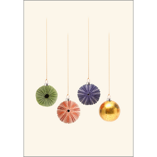 Sea Urchin Christmas image 1