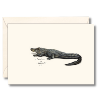Alligator notecard highlighting a powerful wetland species, made in the USA