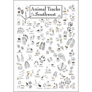 Eye-catching Animal Tracks of Southwest Poster, arrives safely in a sturdy 2" mailing tube, built to stand the test of time.