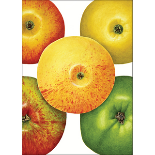 Apples greeting card celebrating classic fruit varieties, blank inside and eco-friendly