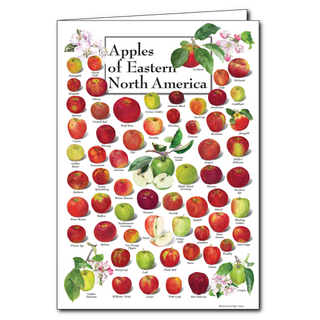 Eastern North America apples greeting card showcasing classic varieties, blank inside