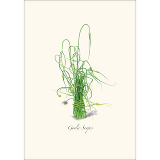 Garlic Scapes -NEW- image 1