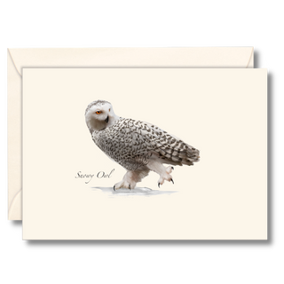 Snowy Owl image 0