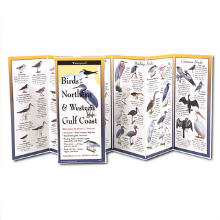 Birds of the Northern & Western Gulf Coast image 1