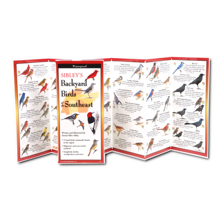 Sibley's Backyard Birds of  the Southeast image 1