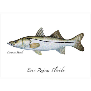 Common Snook image 0