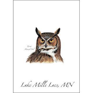 Great Horned Owl image 0