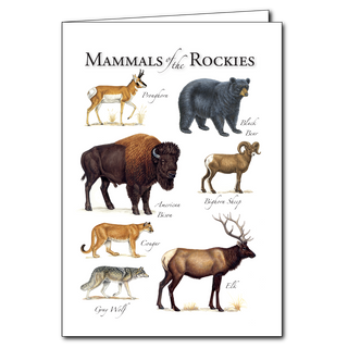 Mammals of the Rockies - Regional Card image 0