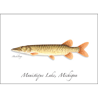 Muskellunge image 0