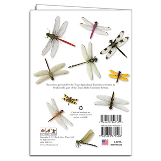 Dragonfly Wrap(namedrop unavailable) image 1