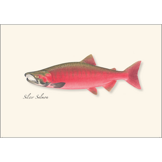 Salmon Assortment image 3