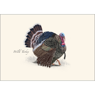 Wild Turkey image 1