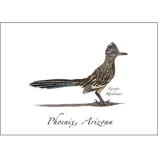 Greater Roadrunner image 0