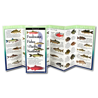 Freshwater Fishes of the Pacific Northwest image 1