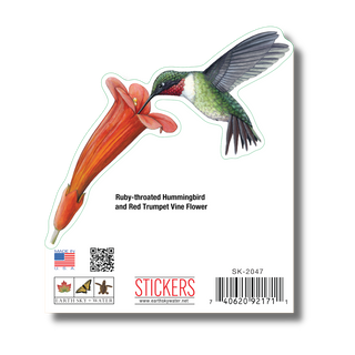 Ruby-Throated Hummingbird image 1