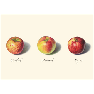 Apple Assortment image 2