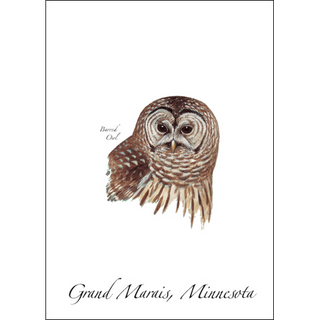 Barred Owl image 0