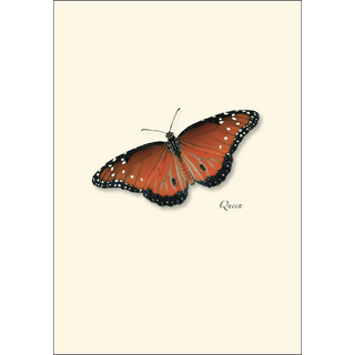 Butterfly Assortment II image 4