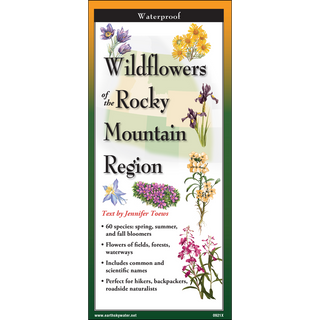 Wildflowers of the Rocky Mountain Region image 0