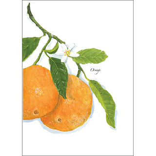 Oranges & Blossom image 0