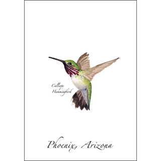 Calliope Hummingbird image 0