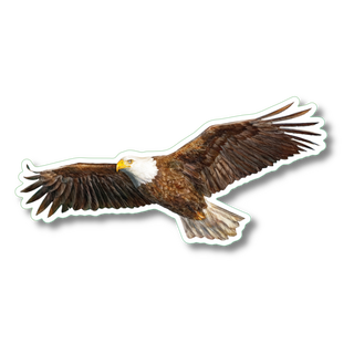 Bald eagle stickers made in the USA highlighting a raptor species