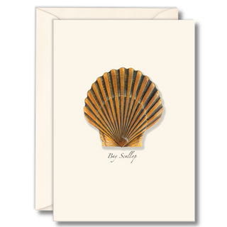 Bay scallop notecard inspired by coastal shellfish