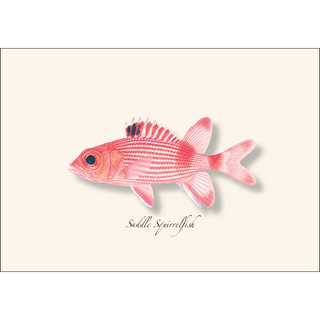 Caribbean Fish Assortment image 4