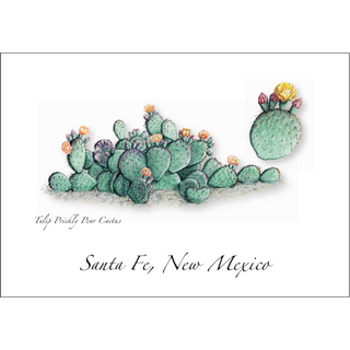 Tulip Prickly Pear Cactus image 0