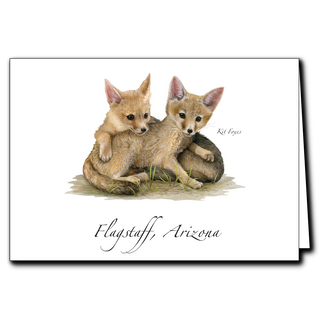 Kit Foxes image 0