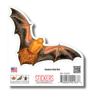 Eastern Red Bat image 1