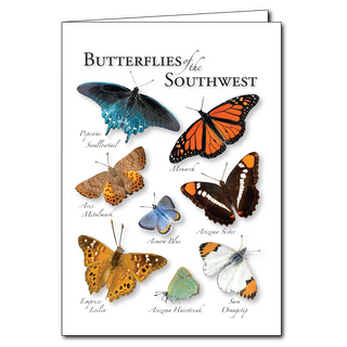 Butterflies of the Southwest - Regional Card image 0