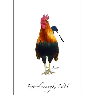 Rooster image 0