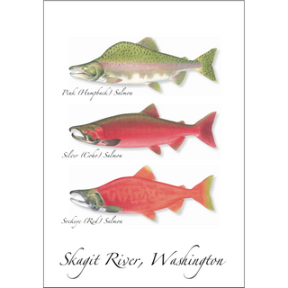Salmon Trio image 0