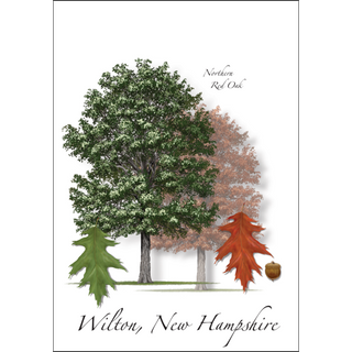 Red Oak image 0