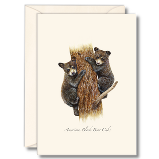 Bear cubs notecard capturing playful young wildlife, made in the USA