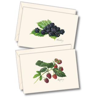 Berry notecard assortment celebrating wild and cultivated fruits