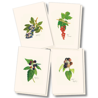 Berry notecard assortment inspired by seasonal fruit